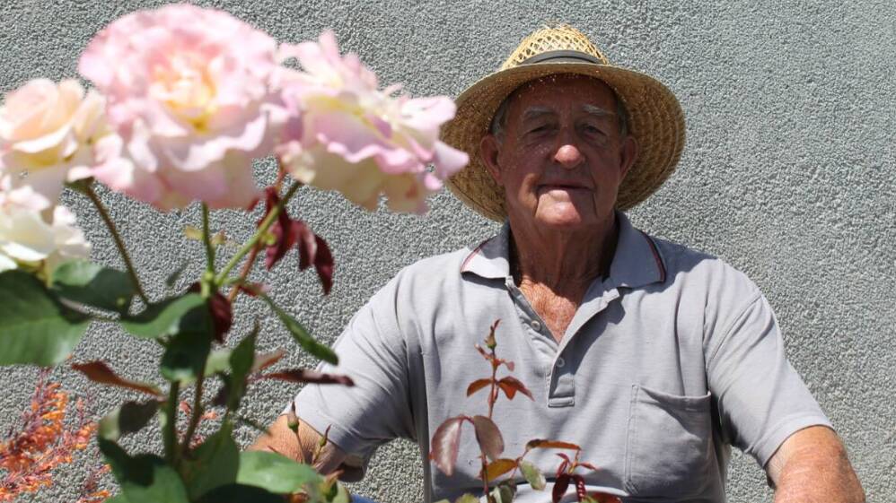 Marshall Campbell with some of his roses. File Picture