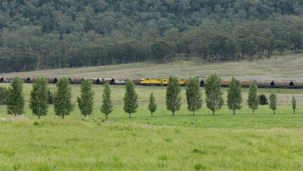 Omnipresent: Coal trains pass through the valley, on their run from mines to the west to the Port of Newcastle. Picture: Jonathan Carroll