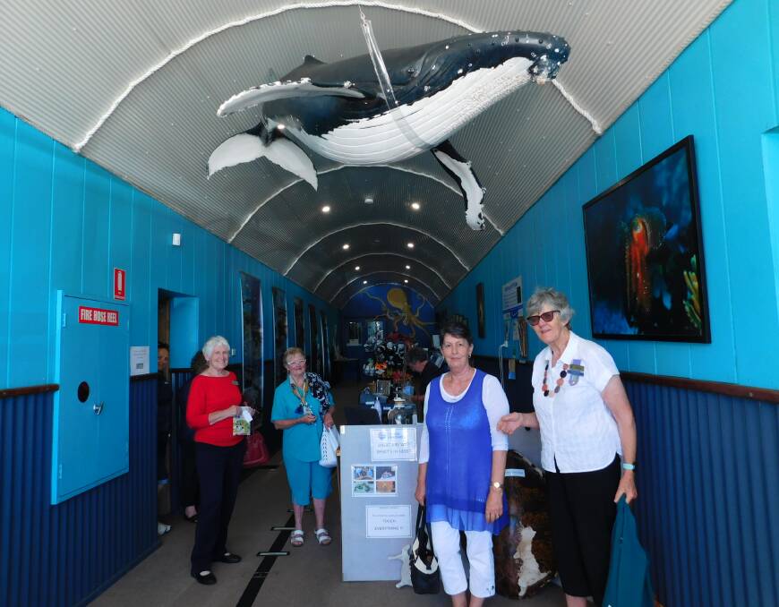 VIEW Club members from across the Bega Valley Shire enjoy a tour of the Sapphire Coast Marine Discovery Centre in Eden.