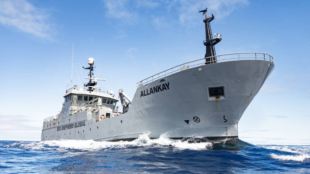 Join the captain and crew of Sea Shepherd's Allankay vessel in Eden on Wednesday, March 20. Picture supplied