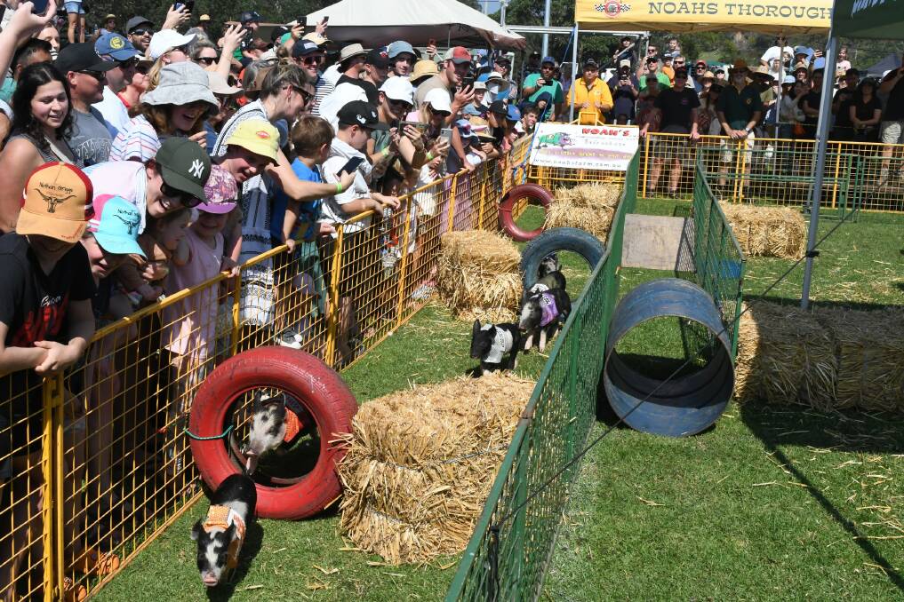 And they're off and racing in the 2024 Tathra Pig Day Out on Easter Sunday, March 31. Picture by Ben Smyth