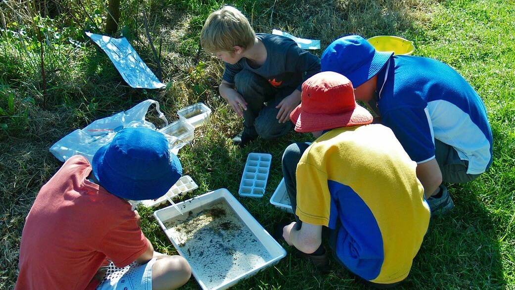 Pambula Primary School pupils pond-dip for water creatures at the Panboola Bioblitz organised by the Atlas of Life.