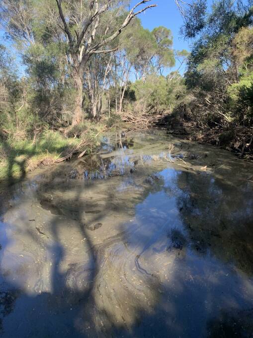One of the small feeder streams that run past the industrial estate into Lake Curalo is black with residue and algae.