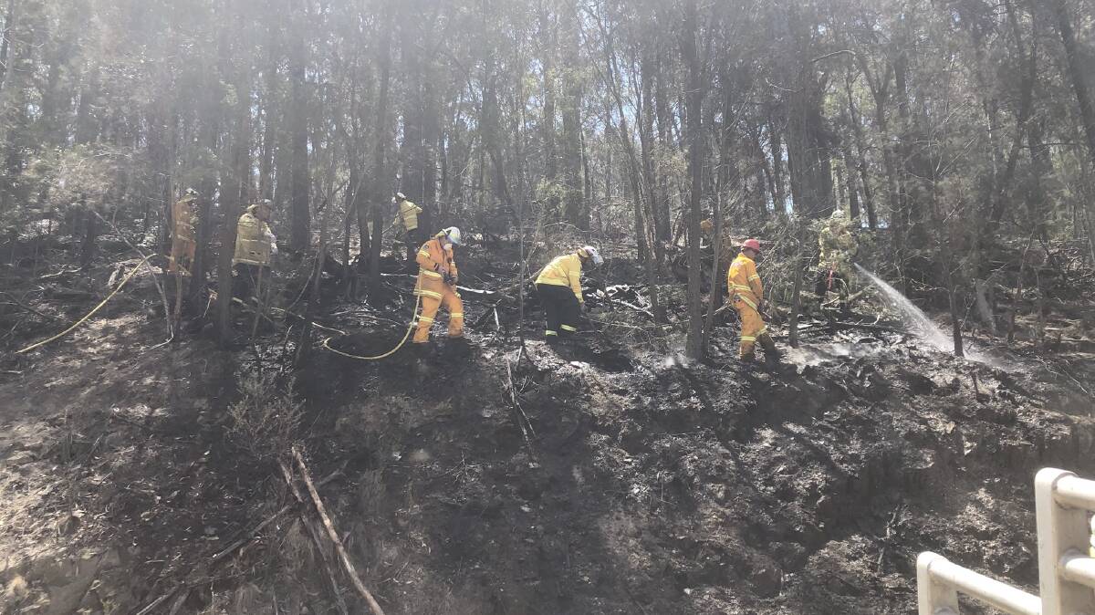 Firefighters work to prevent the log truck blaze spreading further into adjacent bushland. Photo: NSW Fire and Rescue Eden 