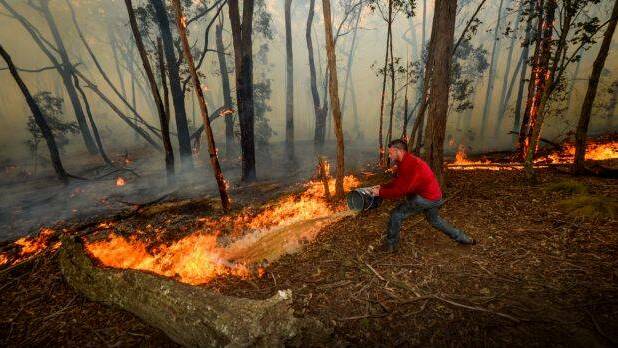 Mallacoota bushfire emergency exercise