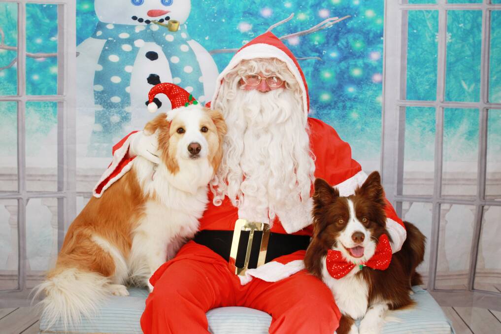 Daisy, Charlie and Santa.