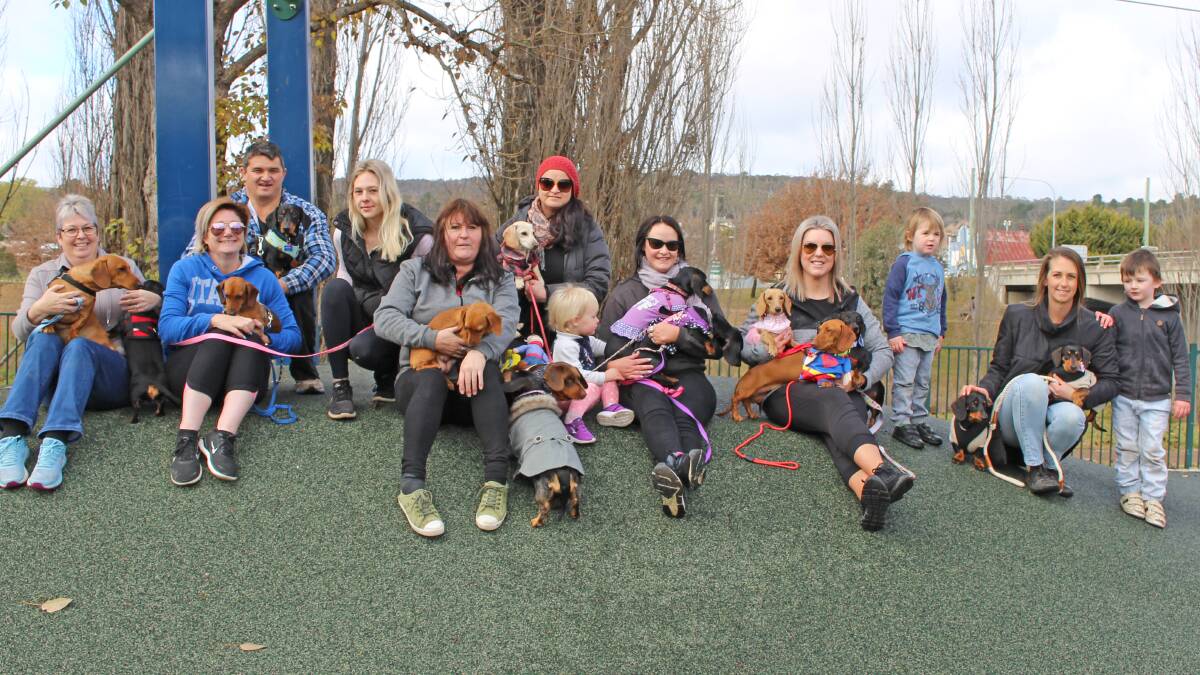Dacschund owners from as far as Eden joined a World Dacschund Day gathering and river walk in Bombala on the weekend.