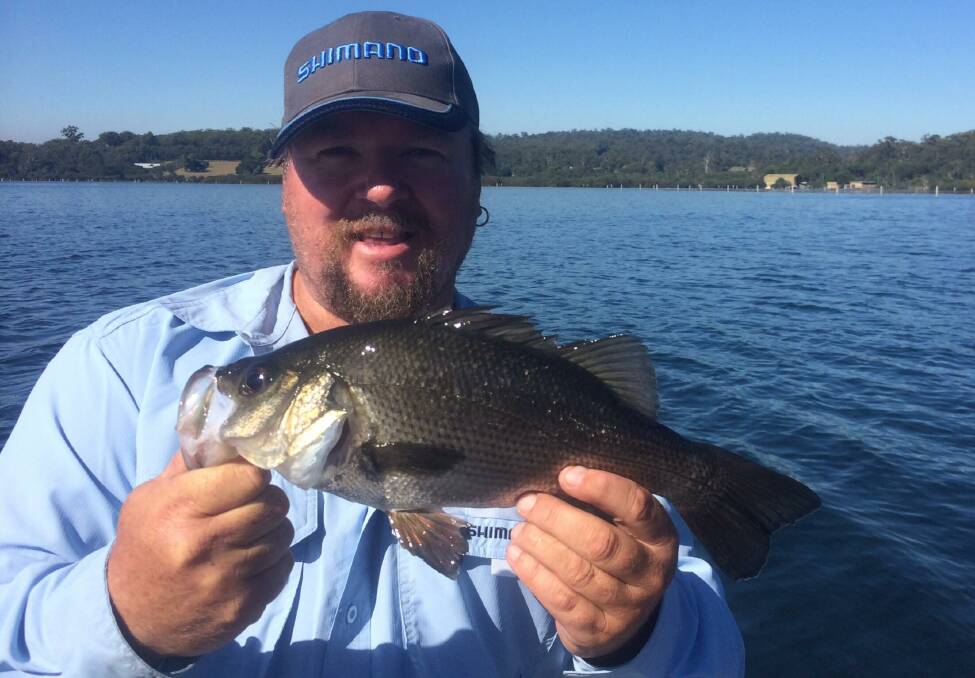 Stuey Hindson bewildered by this estuary perch he found in Top Lake, Merimbula, he said it is a rare capture after only ever seeing two caught in 15-years. 
