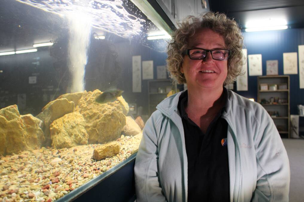Marine life: Sapphire Coast Marine Discovery Centre manager Kerryn Wood.