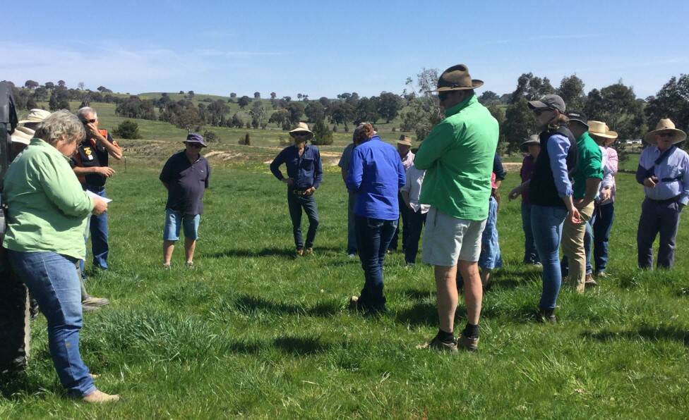 Workshop participants at Crookwell discussing soil fertility before collecting legume samples from the paddock. Photo: J. Cornwall.