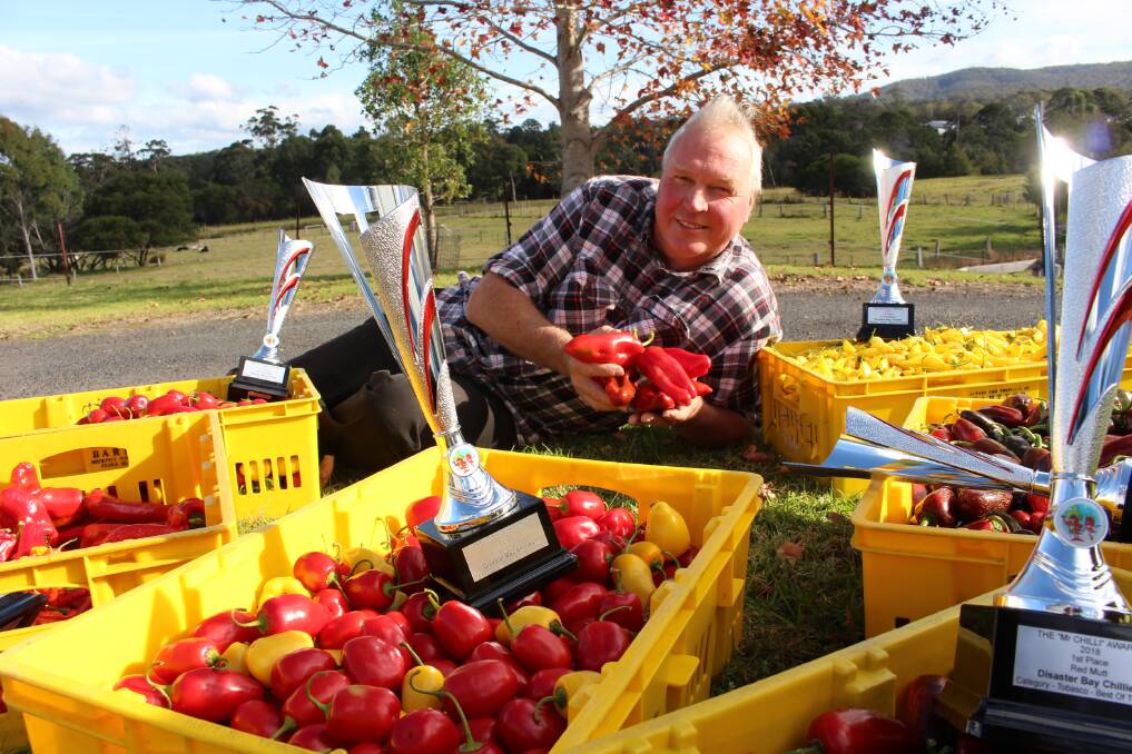 SPICING IT UP: Disaster Bay Chillies co-owner Stuart Meagher surrounds himself with trophies the Eden business picked up at the Mr Chilli Awards 2018. Picture: Claudia Ferguson