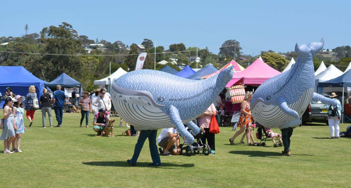 The Eden Whale Festival has plenty to offer across the whole weekend.