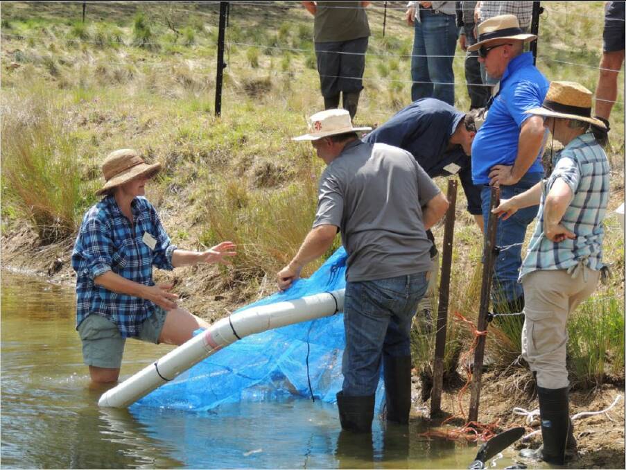 SUSTAINABLE: Participants of a SCPA Farms with a Future ground work day in Brogo, focusing on dam health and management. Picture: Supplied