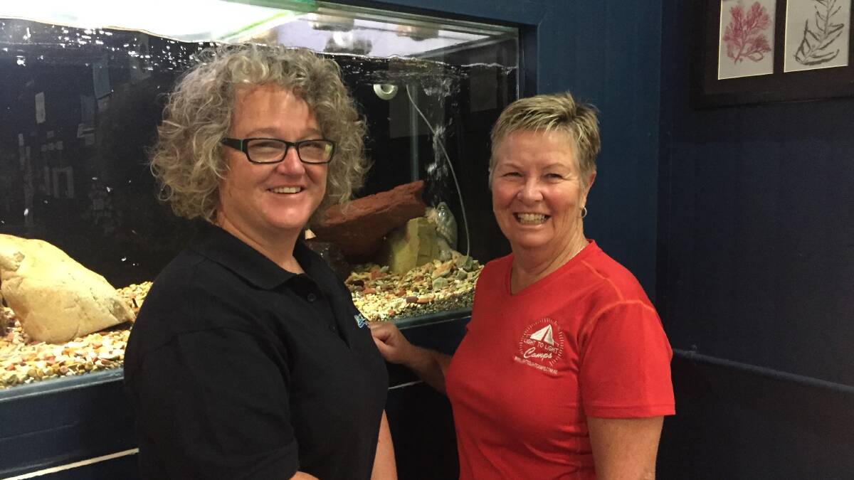 Sapphire Marine Discovery Centre manager, Kerryn Wood is thrilled to receive a donation from Jenny Robb of Light to Light Camps. Ally the Octopus looks on blowing bubbles of excitement.