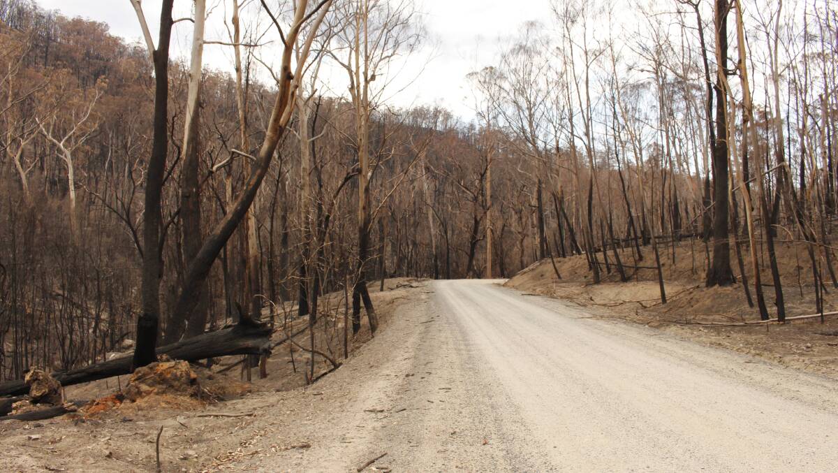 The NSW State Coroner is conducting a series of coronial inquests and inquiries relating to the 201920 NSW bushfire season.