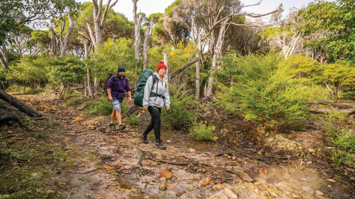 Amended strategy released for Light to Light Walk in Ben Boyd NP