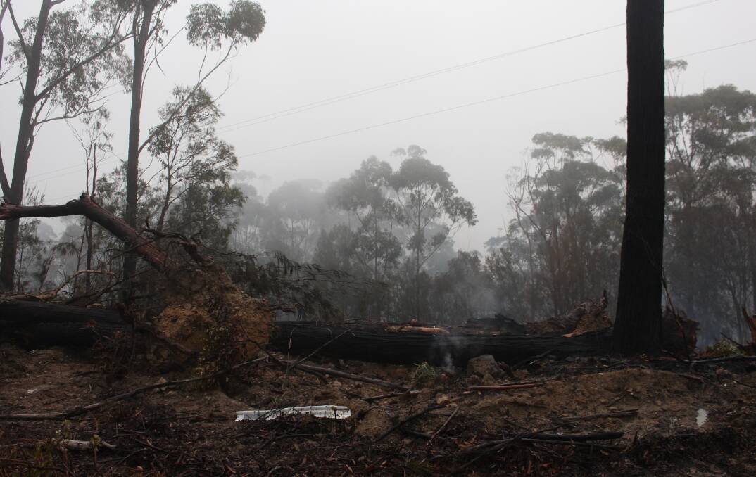 Still smouldering: Nethercote Road near the Princes Highway at Eden where the Border Fire came close.