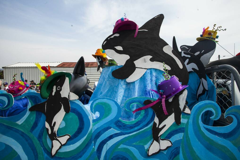 Orcas and hats: "It's a fun float - like the fun we have at school," said teacher Jenny Edwards about the Eden Public School 's float. 
