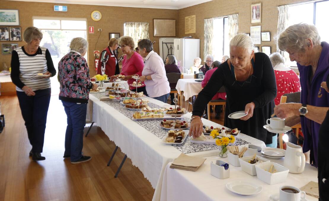 The wonderful selction of cakes and sponges the Eden Lionesses offered at this mornings Biggest Morning Tea. 