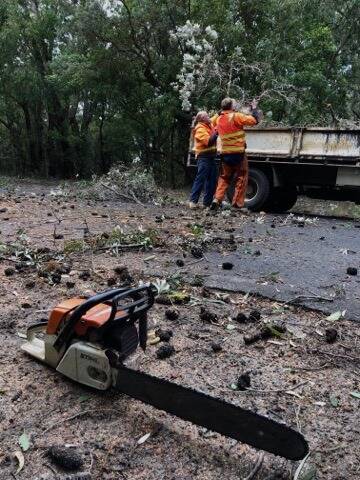 Mallacoota crews clearing trees and debris from roadways around the town. Photo: Vanessa Janss