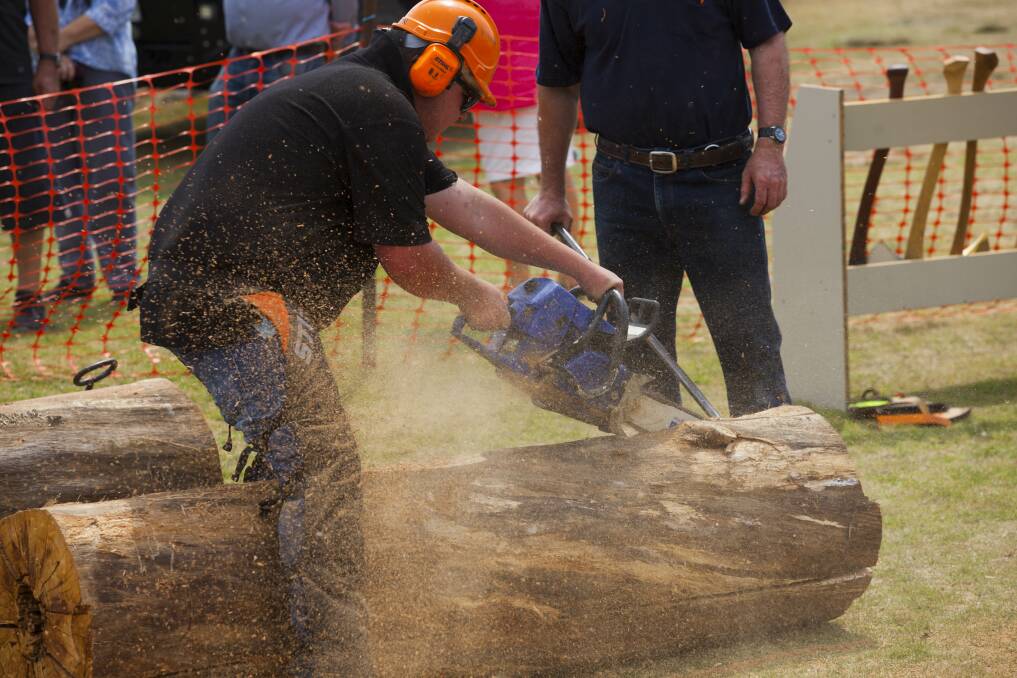 Chainsawing at this year's festival.