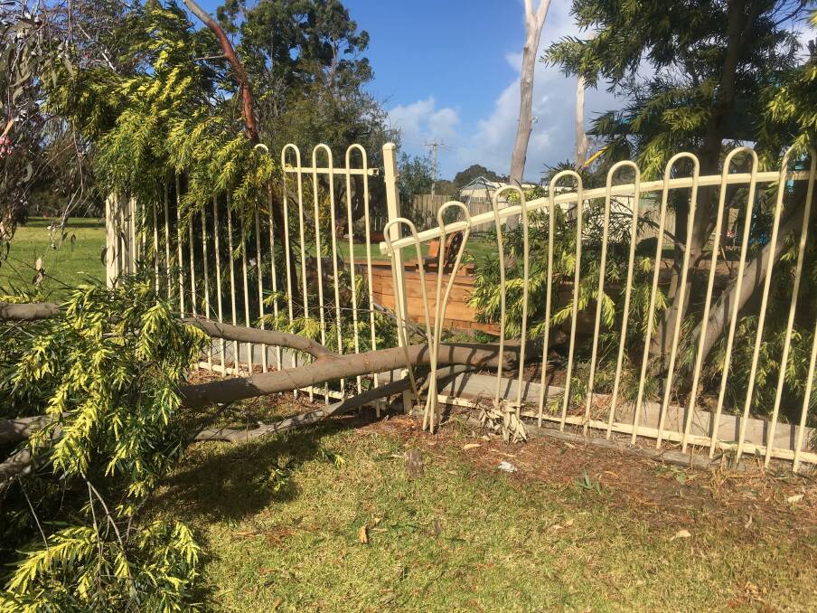  A tree through the Mallacoota Pre-school fence. Photo: Holly Dayment