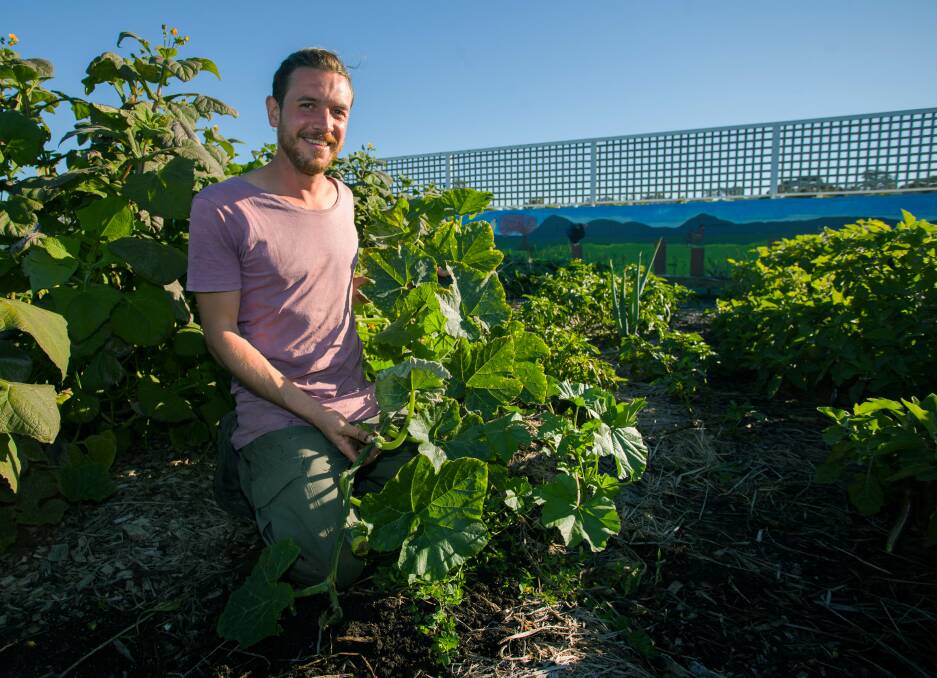 Keeping it local: From Little Things President David Barrie hopes more people will be inspired to join in the urban farm movement. Photo: Rachel Mounsey
