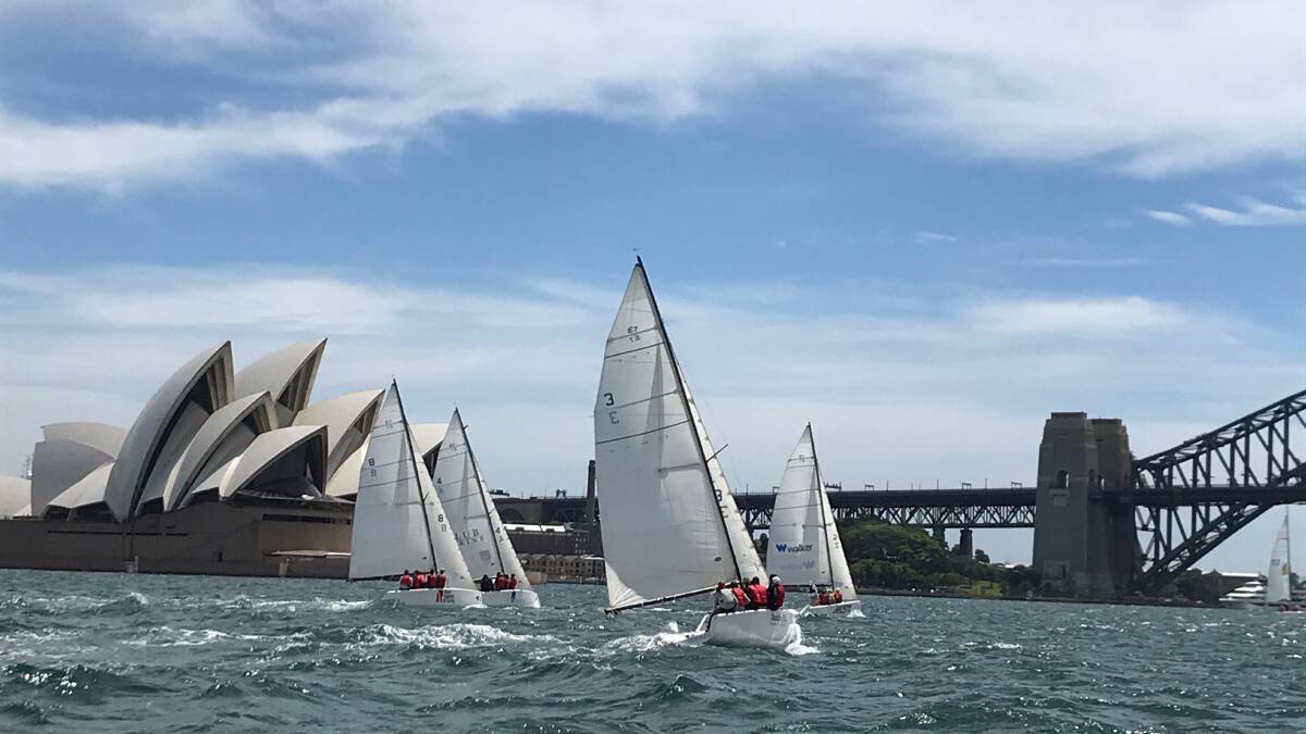 The students go for a sail at Sydney. 
