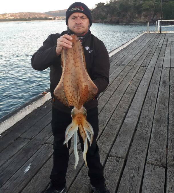 Anyone for calamari?: Local angler Paul Brenchley of Tura Beach shows a calamari squid taken from the Merimbula Wharf.