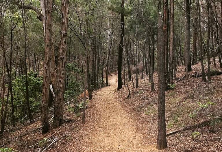 A vision for Eden to become a mountain biking destination has been given the nod with the NSW Government awarding $4.52 million for the completion of a Mountain Bike Hub. 