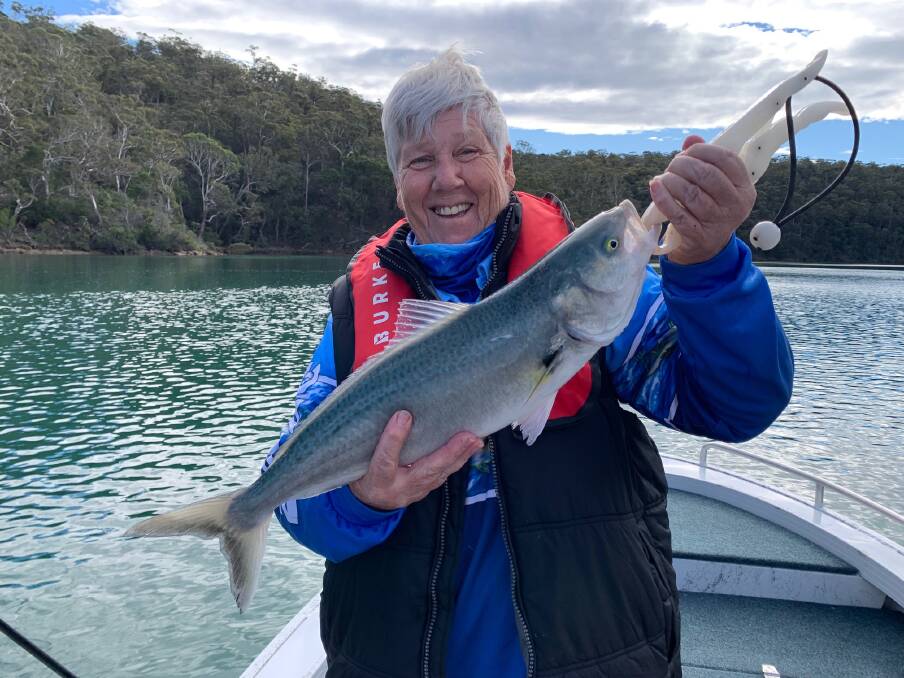 Member Judith Grills shows a lovely catch and release Australian Salmon in the Pambula River.
