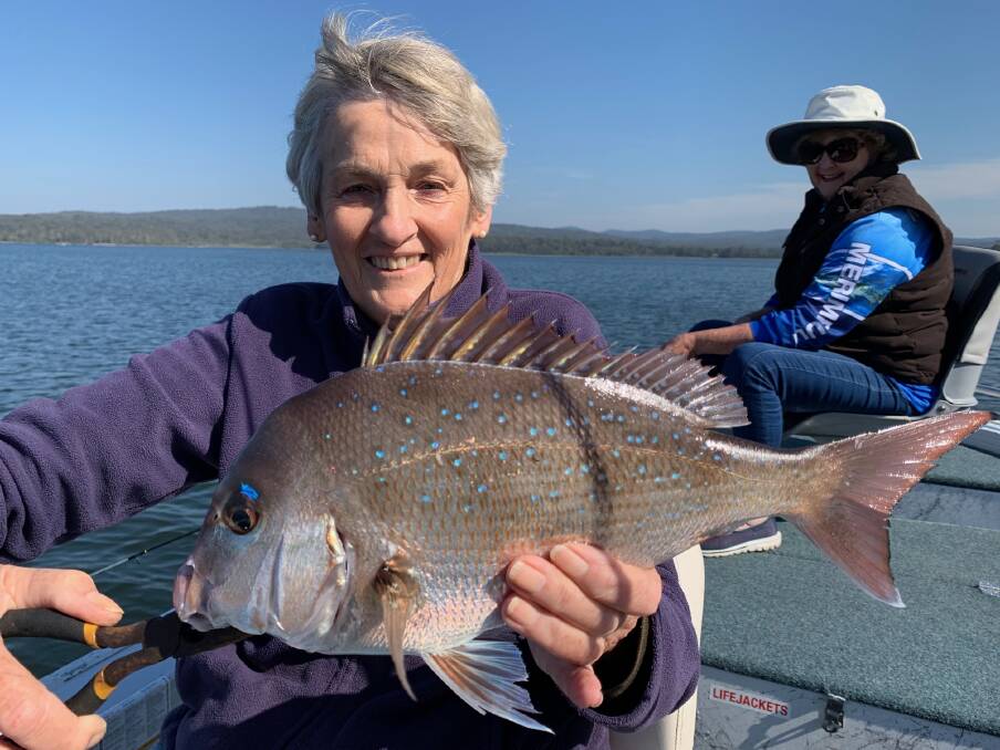 Lady of the lake: Jenny Robbins of Pambula showing the lovely snapper taken at Wallagoot Lake. The Snapper Classic will run next weekend. 