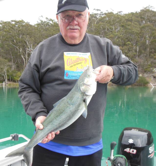 Spin to win: Merimbula Big Game and Lakes Angling Club member Peter Lawler of Mirador with a lovely Australian salmon.
