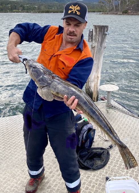 Paul Burns of Belmont NSW show his magnificent Dusky Flathead caught in the Merimbula Top Lake using pilchards.