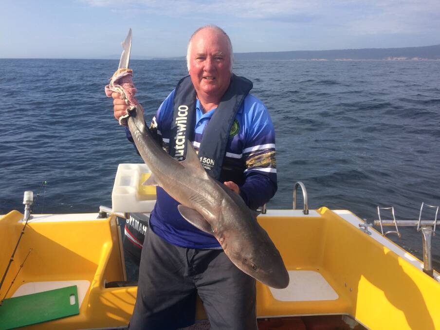 New experience: Club member Les Tudberry shows his first ever gummy shark taken at Horseshoe Reef off Merimbula. 
