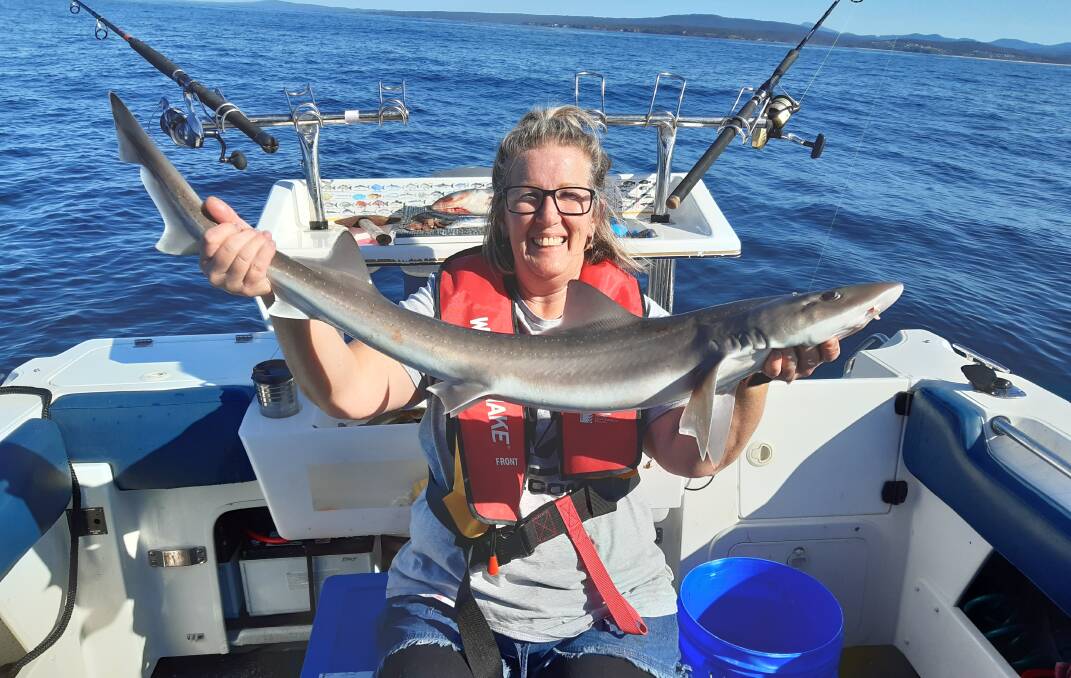 Stoked: MBGLAC member Gina Phillips of Tura Beach with her maiden gummy shark catch, taken near Long Point, Merimbula.