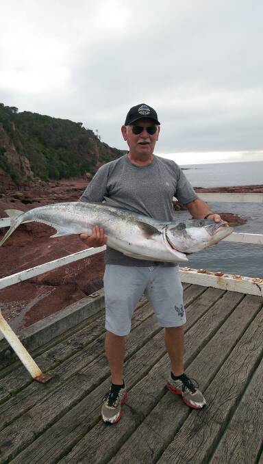 King Denis: Merimbula angler Denis Moss holds his 20kg kingfish caught at the Merimbula Fishing Platform. 