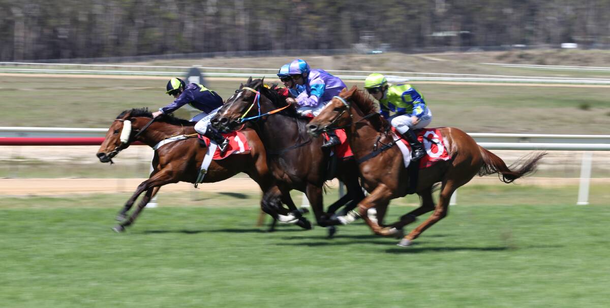 Close packs: The Sapphire Coast Turf Club enjoyed close racing for the Jazz Festival Cup meet on Sunday. 