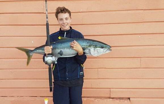 Tyler Ellard, aged 13 years, landed this king fish at the wharf recently. 