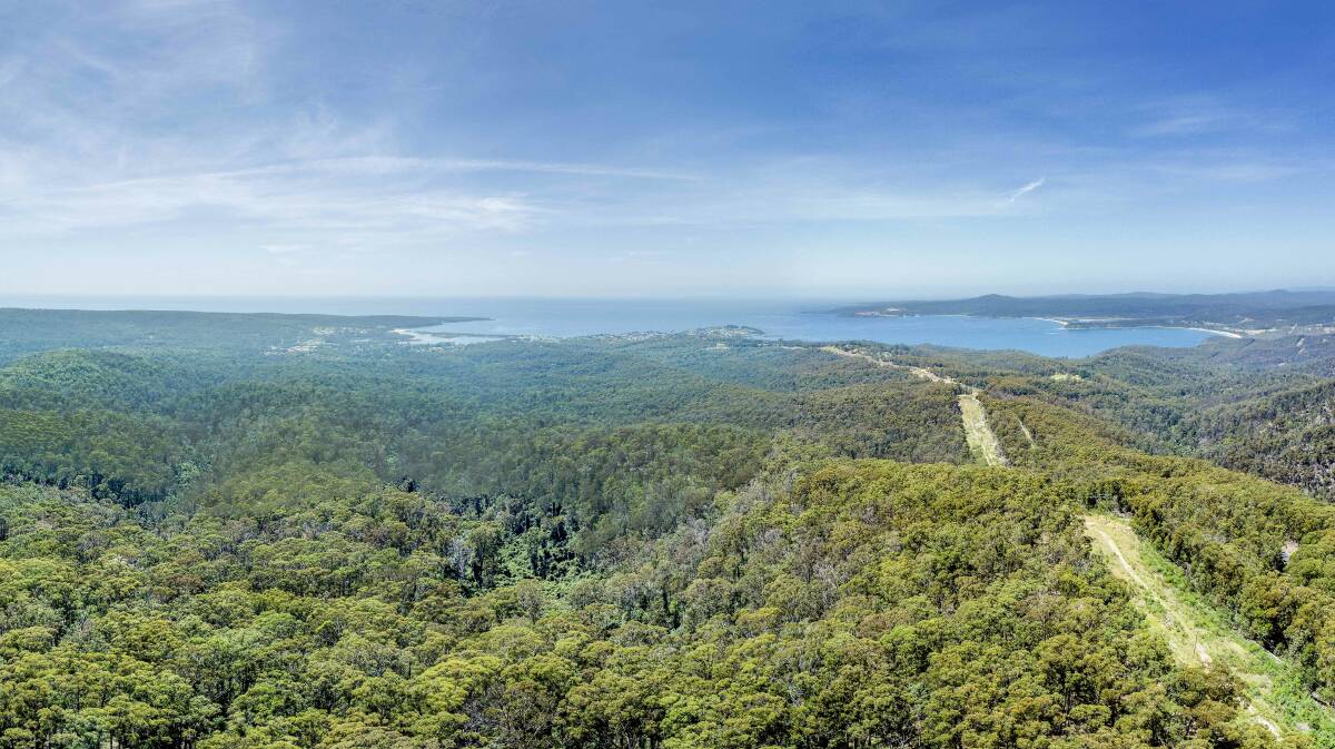 National potential: A high perch view over the area proposed to become a mountain bike trail hub near Eden. Picture: supplied. 