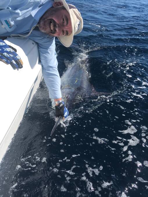 Alan Wilkins Club Vice President holds his magnificent black marlin, tagged and released from Spooky just inside the continental shelf. 