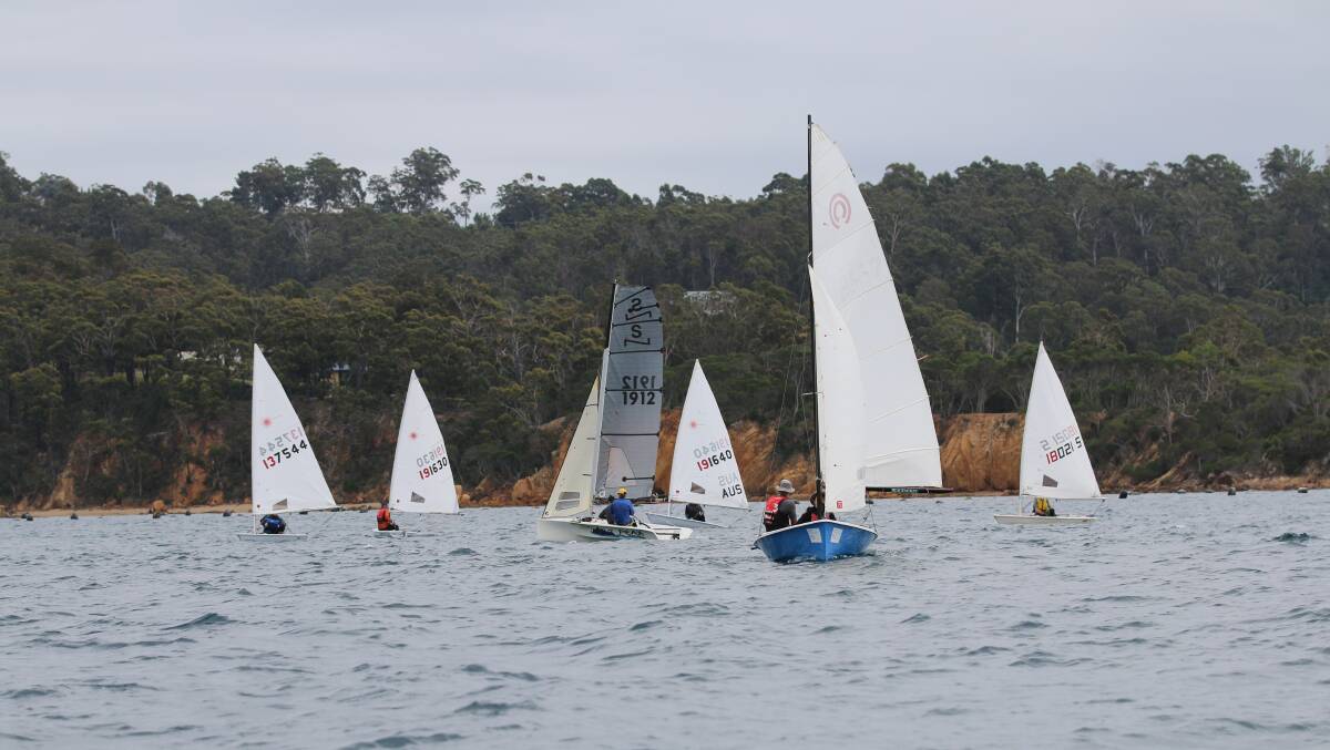 World class: Members of the Twofold Bay Yacht Club head out off Eden for a sail recently . Learning to sail sessions will be returning soon. 