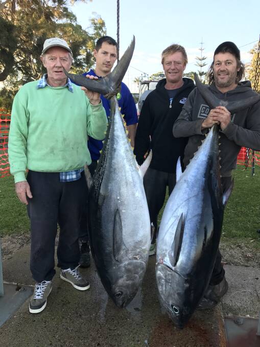 Nice catch: Merimbula Captain Robert Wood and crew John Rumbold, Ross Cooper and Danny Broadsmith landed these 50kg and 52.5kg Bluefin.