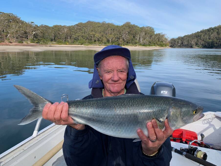 MBGLAC life member Robert Wood caught and released this spectacular 65cm Australian salmon near the Pambula River mouth. 
