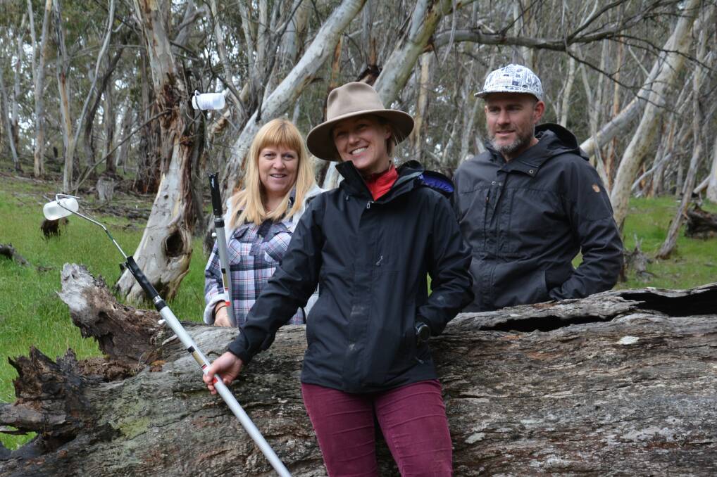 New members of the LAOKO mange treatment team, at Old Adaminaby, Kathy Healey, Micky Watts and Ben Lees, with the treatment poles used to get a direct dose of a cattle pour-on on a wombat with mange.