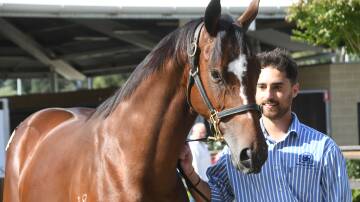  The record-breaking lot at $300,000 (and Valentin de Leon) by Extreme Choice from Dashie Diva at the Inglis May Yearling Sale at Warwick Farm last Sunday. Photo Virginia Harvey. 
