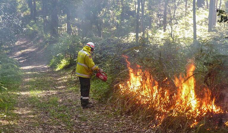 The 323 hectare burn around Eden Cove follows a burn conducted last week in the northern part of the park near Haycock Point. Photo: NPWS