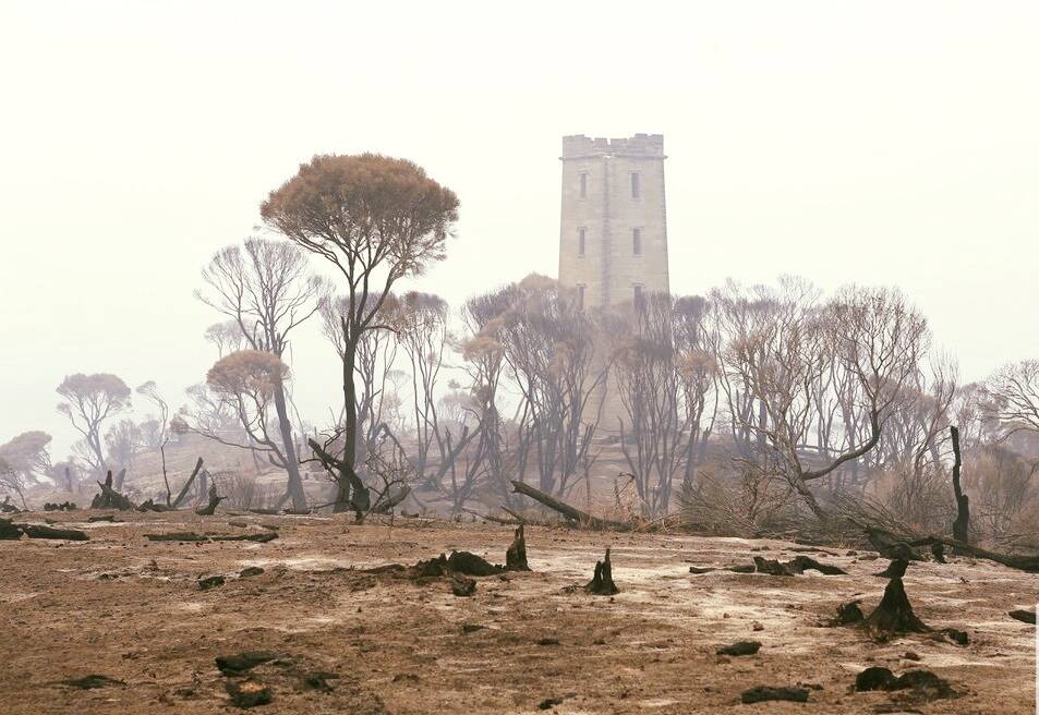 Boyd's Tower still standing tall, taken in January 2020, after the Black Summer Fires. Photo: Fire and Rescue NSW Station 286 Eden