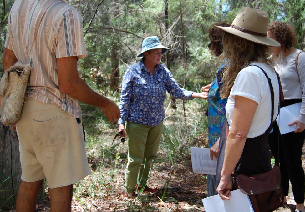 Sue Norman, who assisted the group with early interviews with Elders, showing her fellow group members bushfoods, as they practiced with Aboriginal language. Photo: Leah Szanto