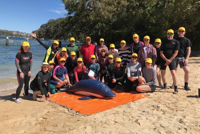 Participants have a passion for marine creatures and join with likeminded people to learn together how to rescue marine mammals. Photo: ORRCA